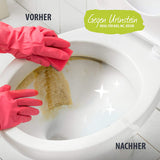 AMI Profi Bad-, Sanitär-, WC-Reiniger & Kalklöser als Hochkonzentrat