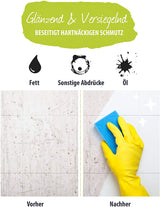 EASY | Profi Universal-Reiniger Konzentrat | Fettlöser 1 Liter